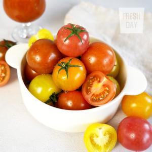 알록달록 오색 튤립 방울 토마토 로얄과 3kg