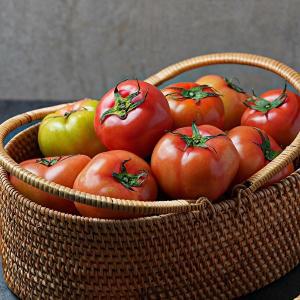 [미미의 밥상]이사금 찰 토마토 3kg(대과)