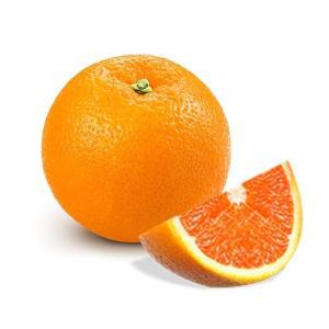 [신세계몰][팜쿡] 고당도 카라카라 레드 오렌지  56과 (17kg내외)