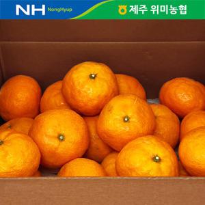 제주 위미농협 감귤 카라향 5kg(18-36과내외)