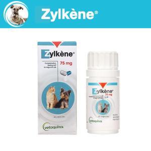 [라온펫동물병원]질켄 Zylkene 75mg 강아지,고양이 스트레스완화 영양제 (강아지껌 1P 추가 증정)