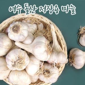 [미스터팜팜]여수 돌산 햇마늘 저장용 마늘 상사이즈 반접 50개