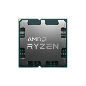AMD 라이젠5-5세대 7500F (라파엘) (트레이(정품))(쿨러미포함) 안전포장