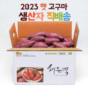 생산자직배송 해들녘 고창황토고구마 5kg (중 사이즈) -인증