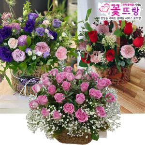 축하꽃바구니 생일선물생화 축하선물 전국당일꽃배달