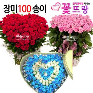 장미100송이꽃바구니 도매생화사용 전국당일꽃배달