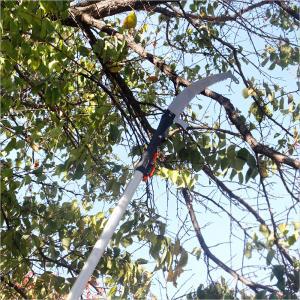 스웨덴 G-MAN 길이확장형 장대톱 셋트/4미터/5.5미터/높은 나뭇가지 절단용 고지톱