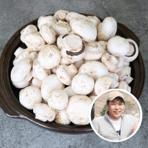 [충남 부여] 못난이 양송이 버섯 1kg / B품