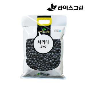 서리태 3kg 검은콩 2023년산 검정콩 속청 라이스그린