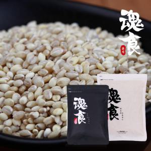 [혼식]국산 찰보리쌀 3kgX2봉 / 2024년산