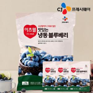 CJ프레시웨이 이츠웰 맛있는 냉동 블루베리 1kgx3개