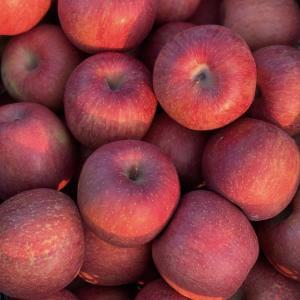 늘품 가정용 껍질채먹는 흠집 부사 사과 안동 청송 경북 못난이 사과 3kg