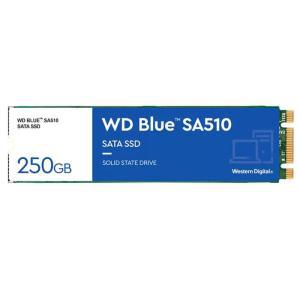 [OFM7816R]내장 SATA SSD 스테이트 Blue M 2 250GB