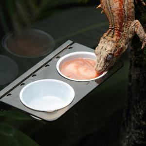 강력자석부착식 먹이그릇 크레스티드게코 카멜레온 도마뱀 파충류 물그릇