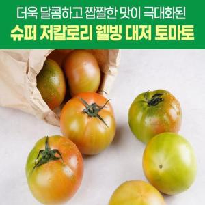 부산 강서구 대저 저칼로리 짭짤이 토마토 중대과 2.5kg