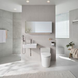 리바트바스 M100G 디자인 거실욕실 (타일시공)