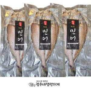 [신세계몰]정우네생선가게 국내산 목포 여수 반건조 민어 3미 (각 240g 이상, 대 사이즈)