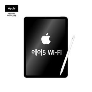 애플 아이패드 에어5 WiFi 256G 스그+펜슬_KN