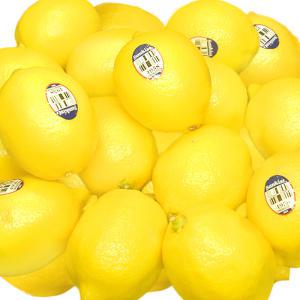 팬시레몬 정품 50과 레몬에이드 레몬차 레몬청
