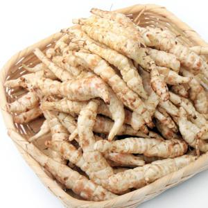 누에형 초석잠생뿌리 1kg - 국산 생초석잠씨앗