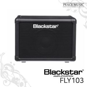 블랙스타 FLY3 전용 스피커 확장 캐비닛 FLY103 BLACKSTAR