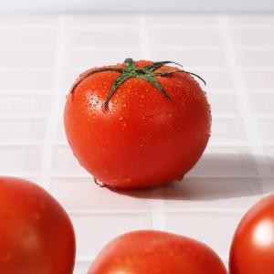[농협청과33번] 토마토 10kg 5번 (쥬스용)