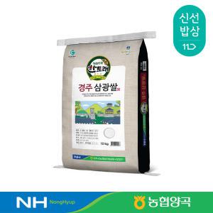 [농협양곡] 경주 삼광쌀 10kg, 2023년산 햅쌀 / 상등급