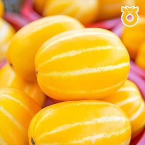 [자연맛남] 농협선별 꿀당도 성주 참외 10kg (31-40과)