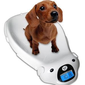 [신세계몰]펫이랑 애완동물 체중계 강아지 체중계 (W5335E3)