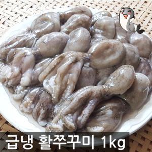 특A급 태국 냉동 활쭈꾸미 1kg 쭈꾸미 낙지 볶음