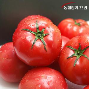 [농협청과33번] 토마토 10kg 5번 (쥬스용)