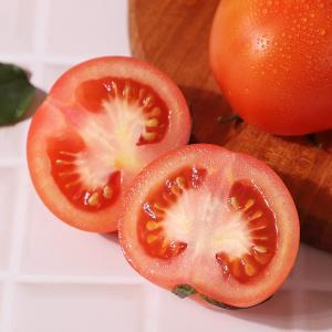 [농협청과33번] 토마토 3kg 5번 (쥬스용)