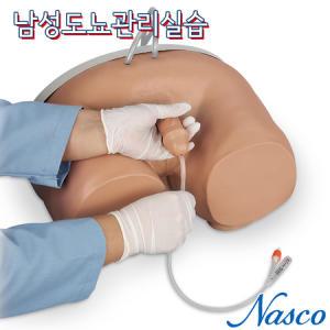 NASCO USA 도뇨관리실습모형 LF00855 남성카테터실습__MC