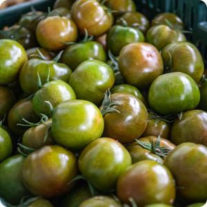 부산 대저농협 대저 짭짤이 토마토 2.5kg (M) 로얄과 당일수확