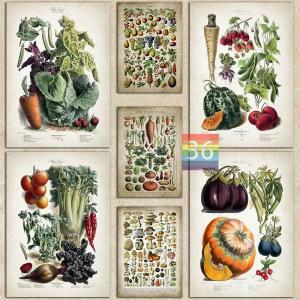 벚꽃인테리어 봄인테리어 포토존 소품 장식 빈티지 음식 포스터 과일 야채 벽 아트 그림, 레트로 홈 주방