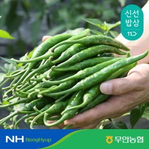 [농할가9,810원] 밀양무안농협 맛나향 청양고추 1kg