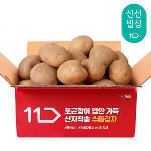 [품질보장] 노지재배 햇 감자 3kg 중 대 특 왕특 (2개 구매시 총 10kg발송)