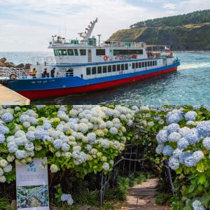 |제주|마라도가는여객선+카멜리아힐+혜택몰빵|제주여행|마라도여객선|동백꽃수목원