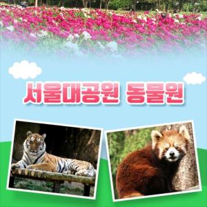 [과천] 서울대공원 동물원 입장권 (당일사용불가)
