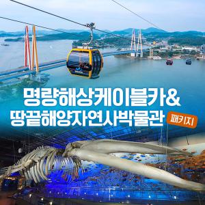 [진도] 명량 해상케이블카+땅끝해양자연사박물관(~05.31)