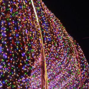 은하수 LED 투명선 300구 30m 줄전구 조명 인테리어성탄트리 장식 크리스마스용품 라인 감성캠핑 캠핑