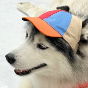 [텐바이텐] 반려견 강아지 모자 레인보우 썬캡