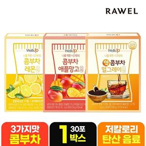 [로엘]로엘 웰업 콤부차 레몬/애플망고/얼그레이 분말스틱 1박스