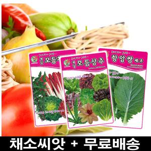 각종허브씨/새싹씨앗/꽃씨/채소씨/쌈채소/상추/고추씨앗/민속채소