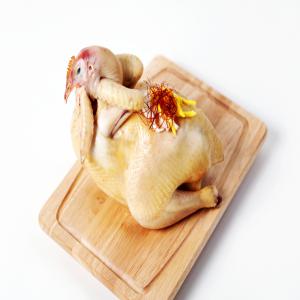 토종닭 제사닭 제수용 생닭 1.8kg 내외 시골토종 암닭 [머리있는 제사용닭]