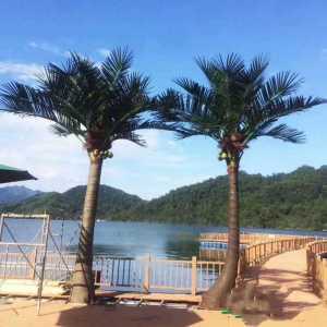 대형 조화나무 코코넛 나무 야자수 실외 리조트 휴양지 조경
