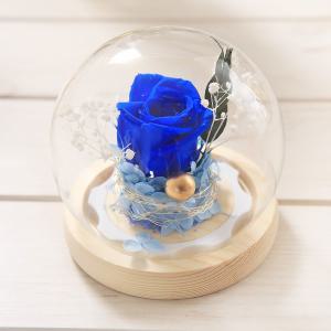 [오너클랜]장미 꽃 LED 무드등 블루 인테리어 조명 집들이 선물