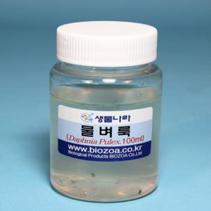 물벼룩 100ml (Daphnia Plux)