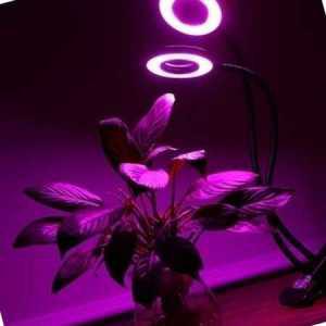 온가지사 USB 5V 식물성장 10W+10W LED 자바라 듀얼 링 원형 식물등스탠드 LED식물등 식물조명_MC