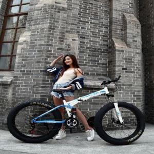 팻바이크 산악자전거 입문용 광폭 풀샥 출퇴근 큰타이어 성인
